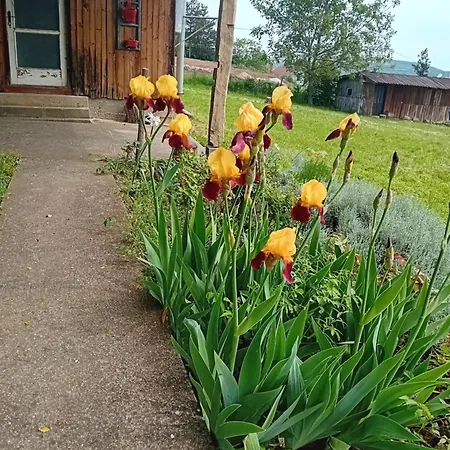 Resetovac Holiday home Batocina