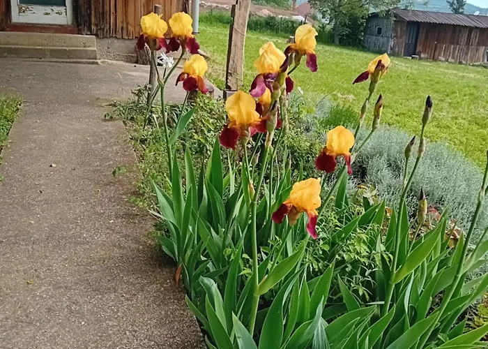 Resetovac Дом отдыха Batocina